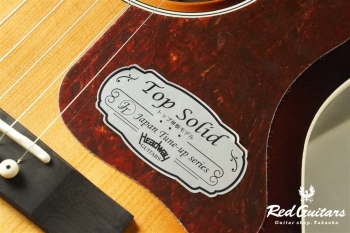 HL-V085SE - Faded Brown Burst